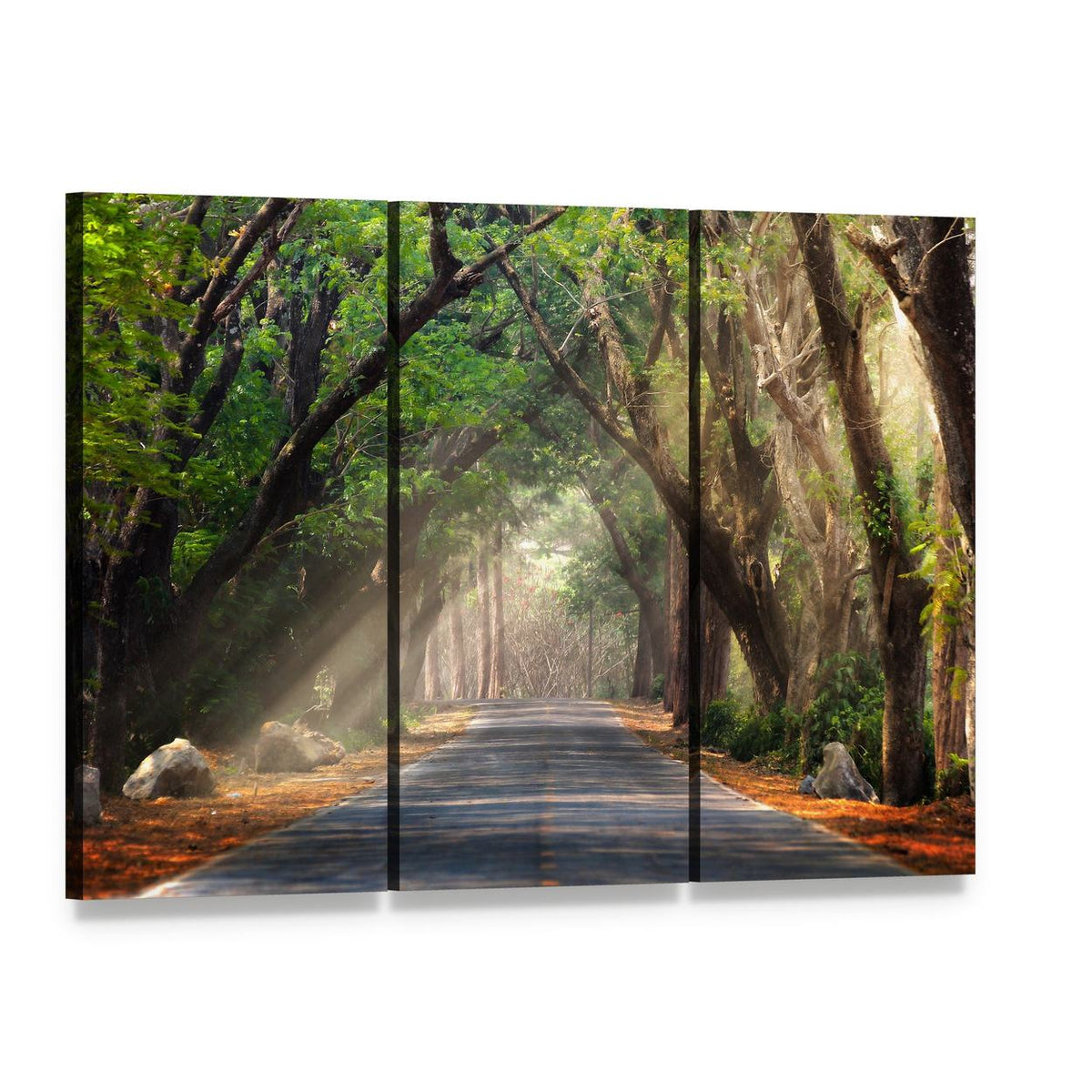 Journey Through Forest Canvas Wall Art, 3 panel 3 Horizontal layout gallery wrapped canvas set, angled product view