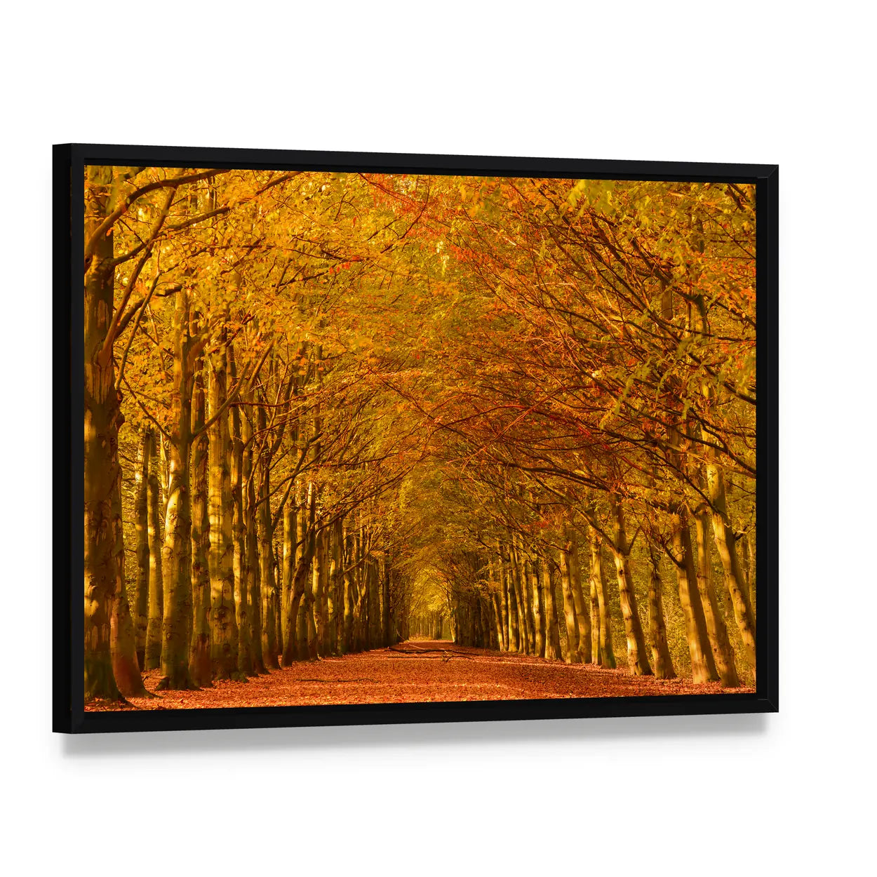 Autumn Forest Lane Canvas Wall Art, framed canvas in a black floater frame, angled product view