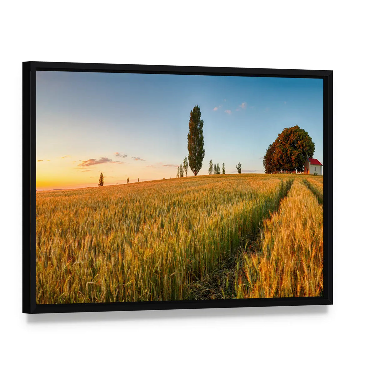 Summer Wheat Field at Golden Hour Canvas Wall Art, framed canvas in a black floater frame, angled product view