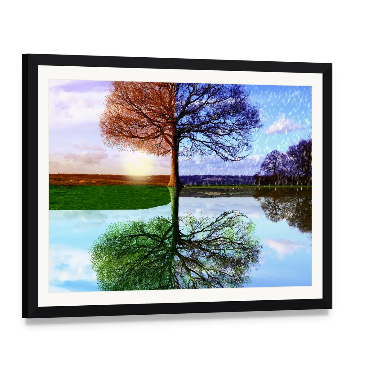Tree in Two Seasons Canvas Wall Art, framed print with white mat and black frame, angled product view