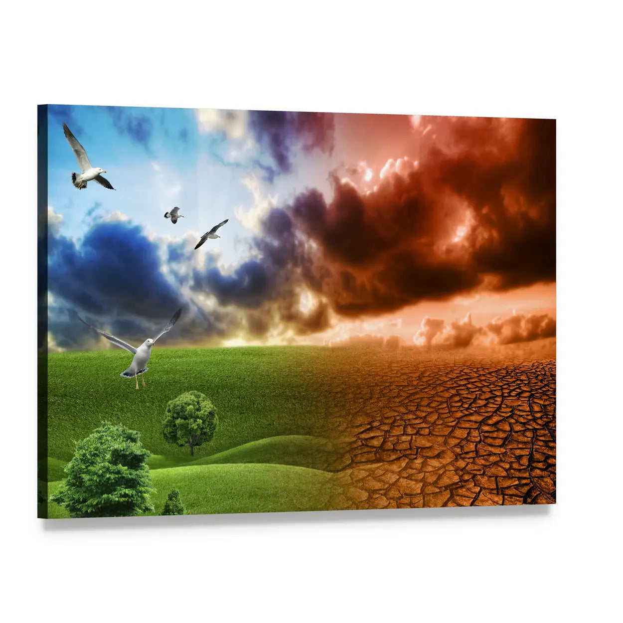 Nature Contrast in Global Warming Canvas Wall Art, single panel gallery wrapped canvas, angled product view