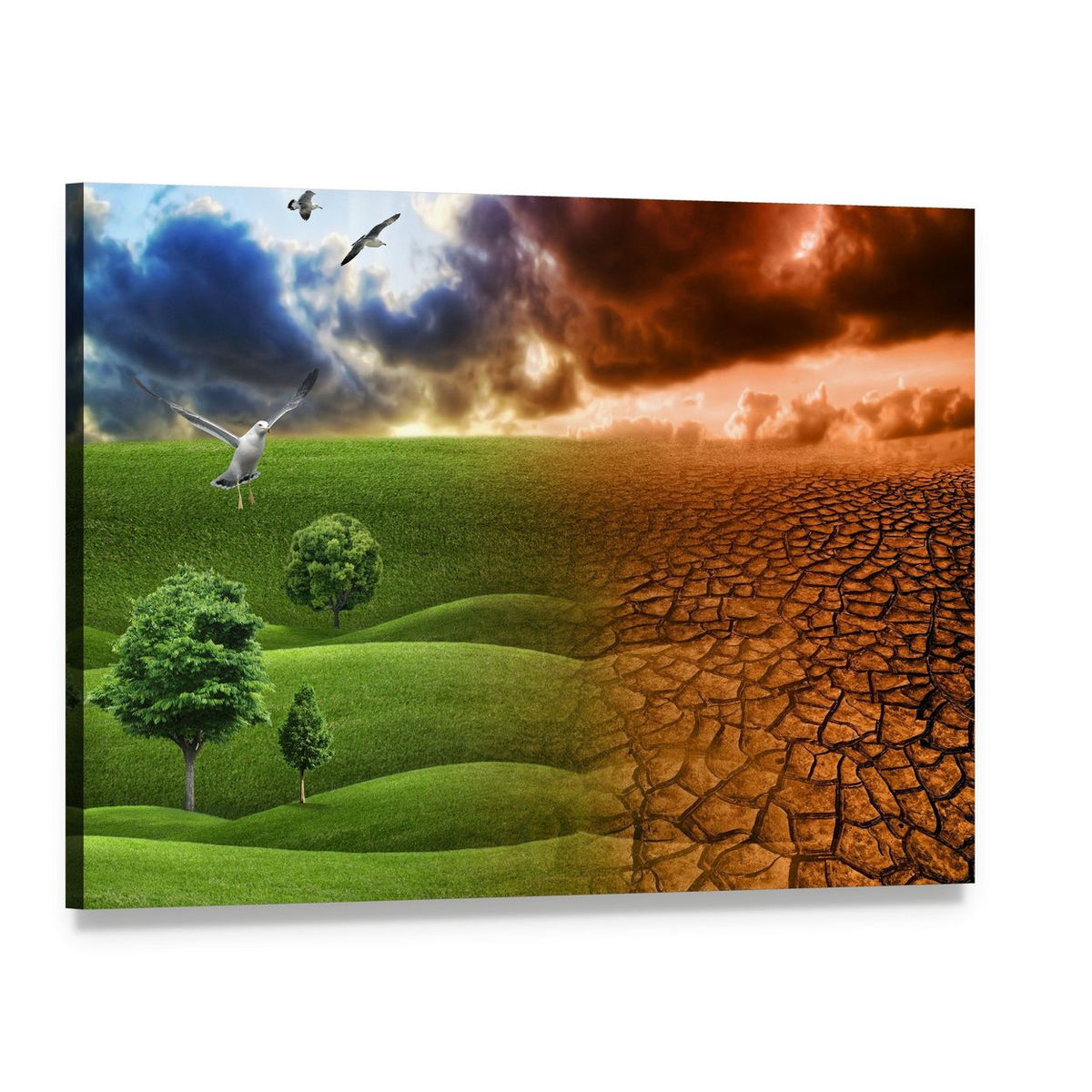 Nature Contrast in Global Warming Canvas Wall Art, single panel gallery wrapped canvas, angled product view