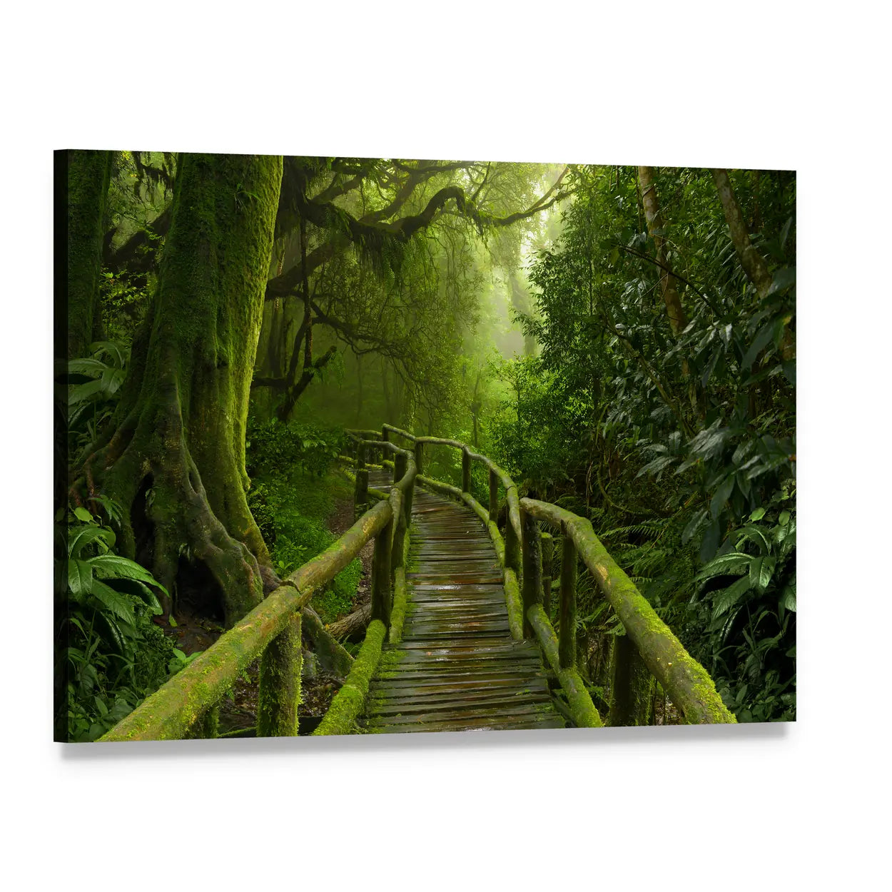 Mossy Jungle Bridge in Nepal Canvas Wall Art, single panel gallery wrapped canvas, angled product view