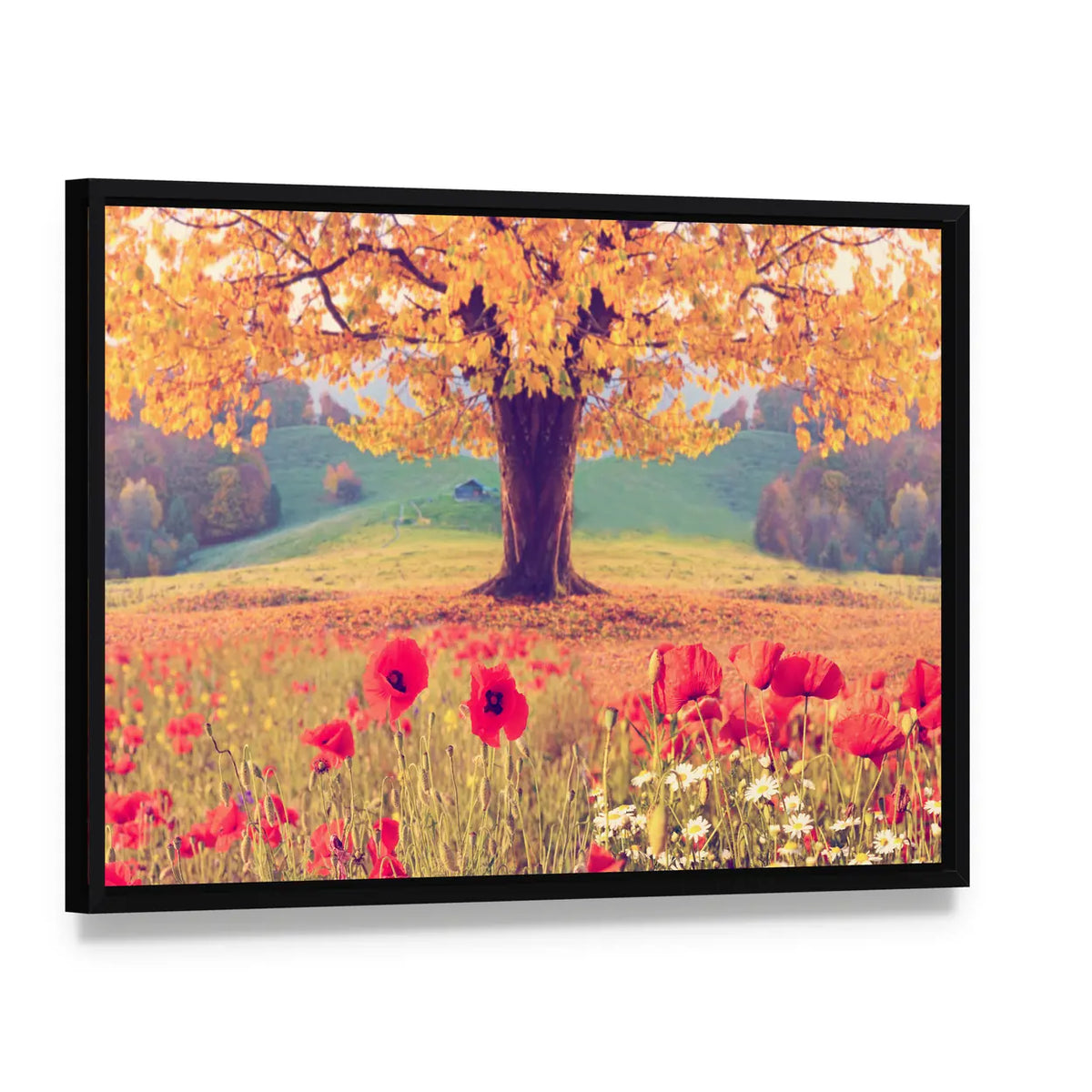 Red Poppies and Golden Tree Canvas Wall Art, framed canvas in a black floater frame, angled product view