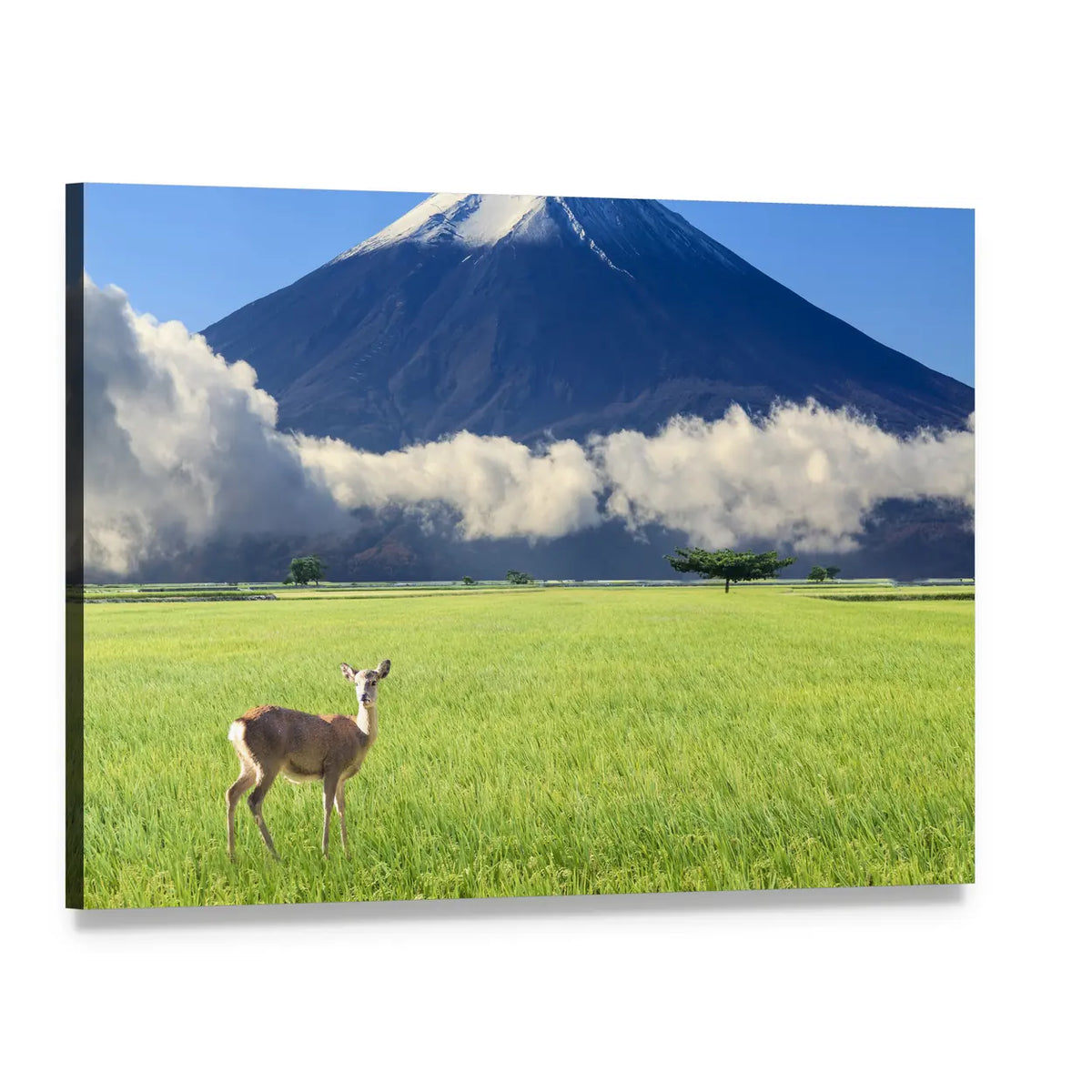 Mount Fuji and Deer in Green Meadow Canvas Wall Art, single panel gallery wrapped canvas, angled product view