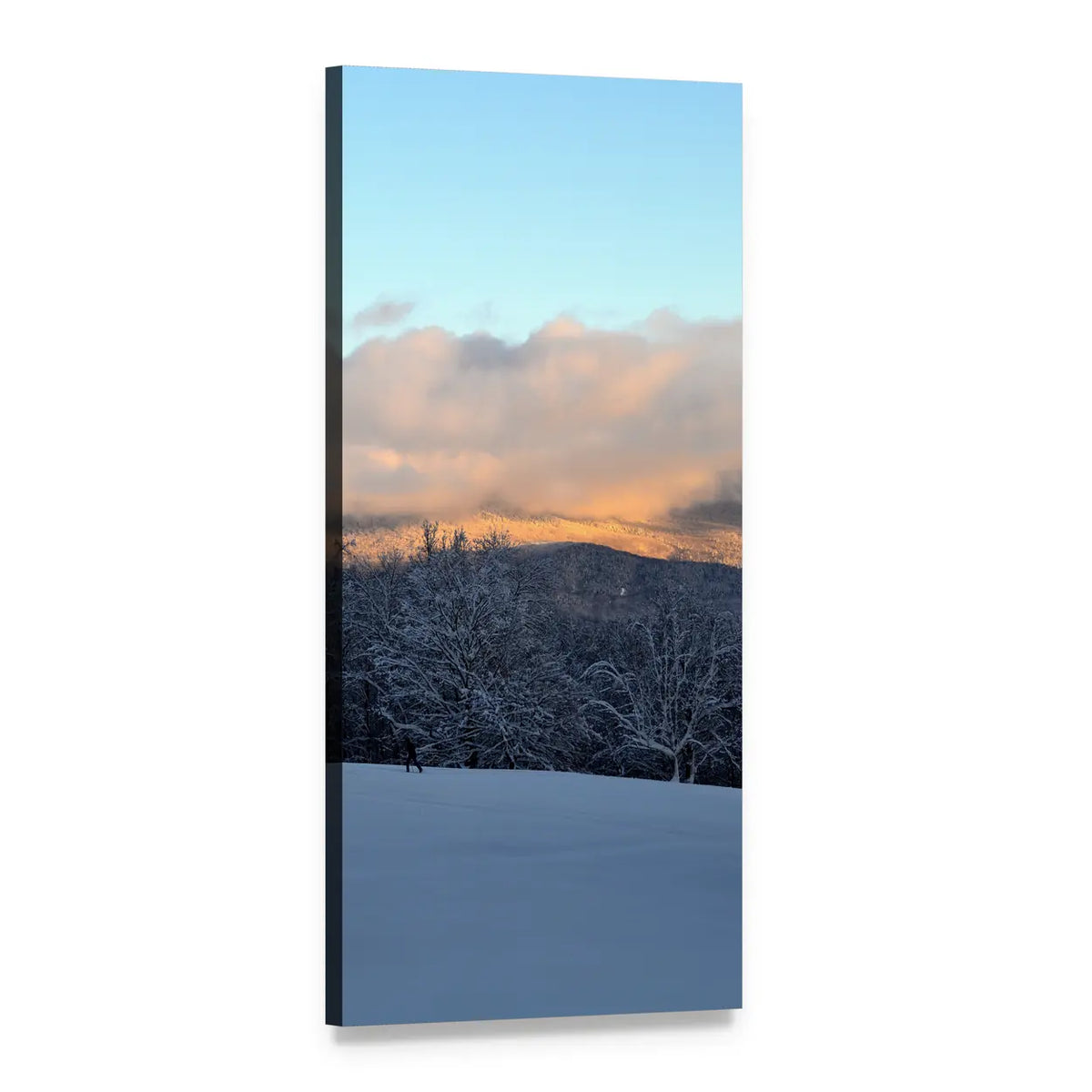 Snowy Mountain with Trees Vertical Canvas Wall Art, 1 panel 1 Vertical layout gallery wrapped canvas set, angled product view
