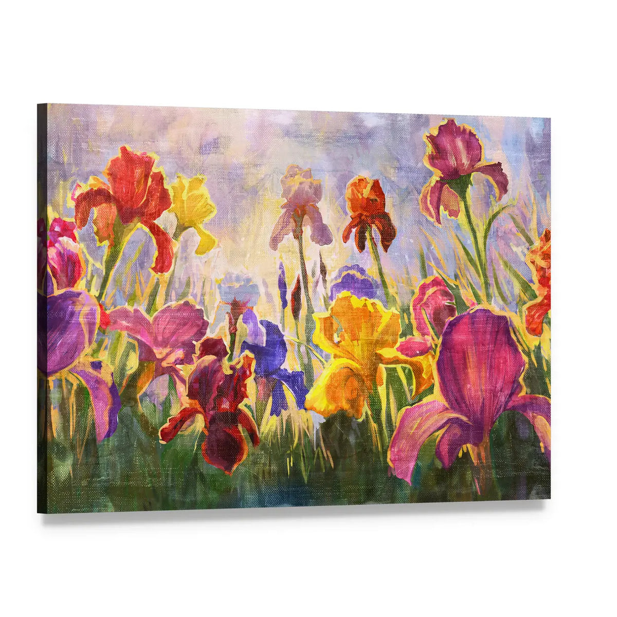 Vibrant Iris Flower Illustration Canvas Wall Art, single panel gallery wrapped canvas, angled product view
