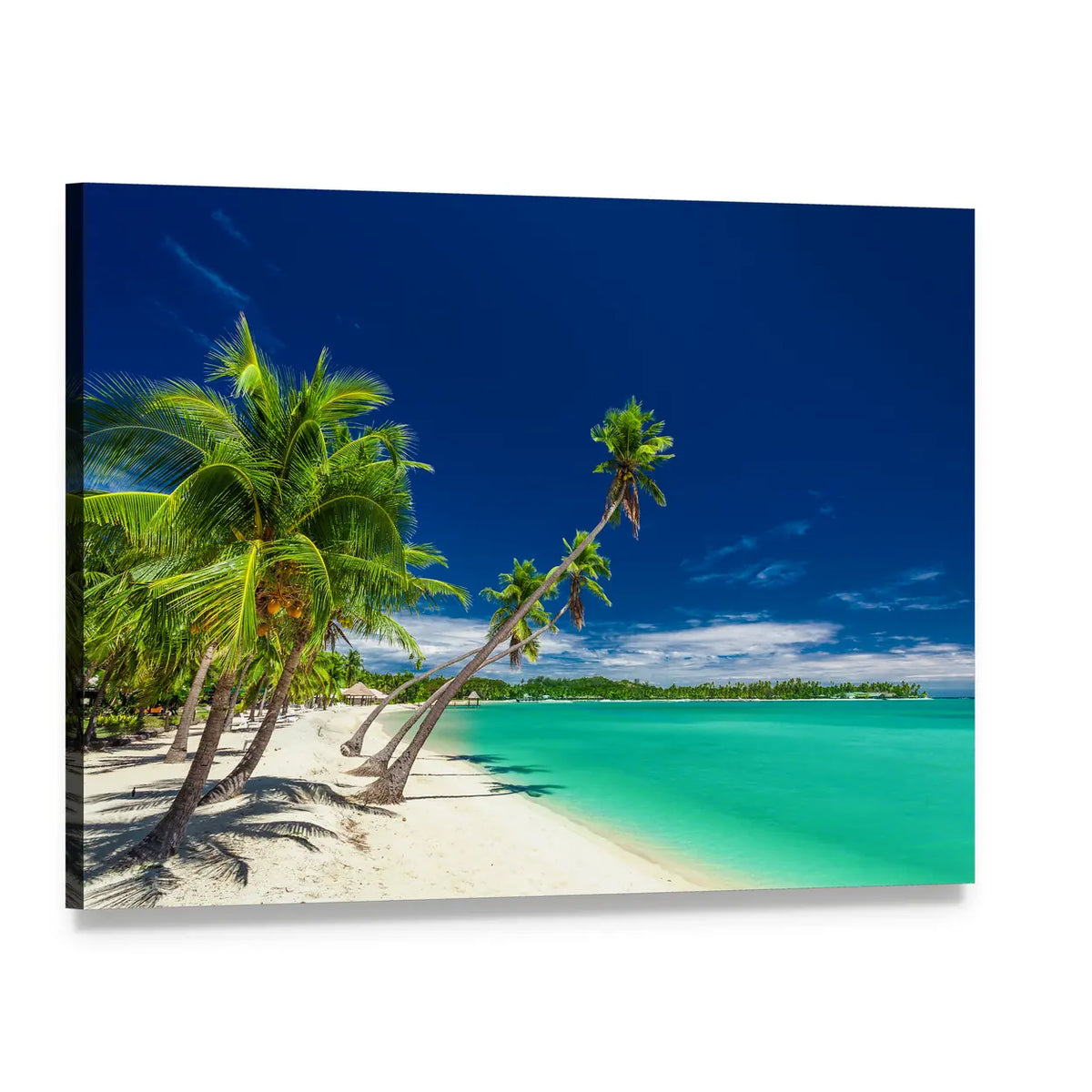 Leaning Coconut Palms on White Sand Beach Canvas Wall Art, single panel gallery wrapped canvas, angled product view