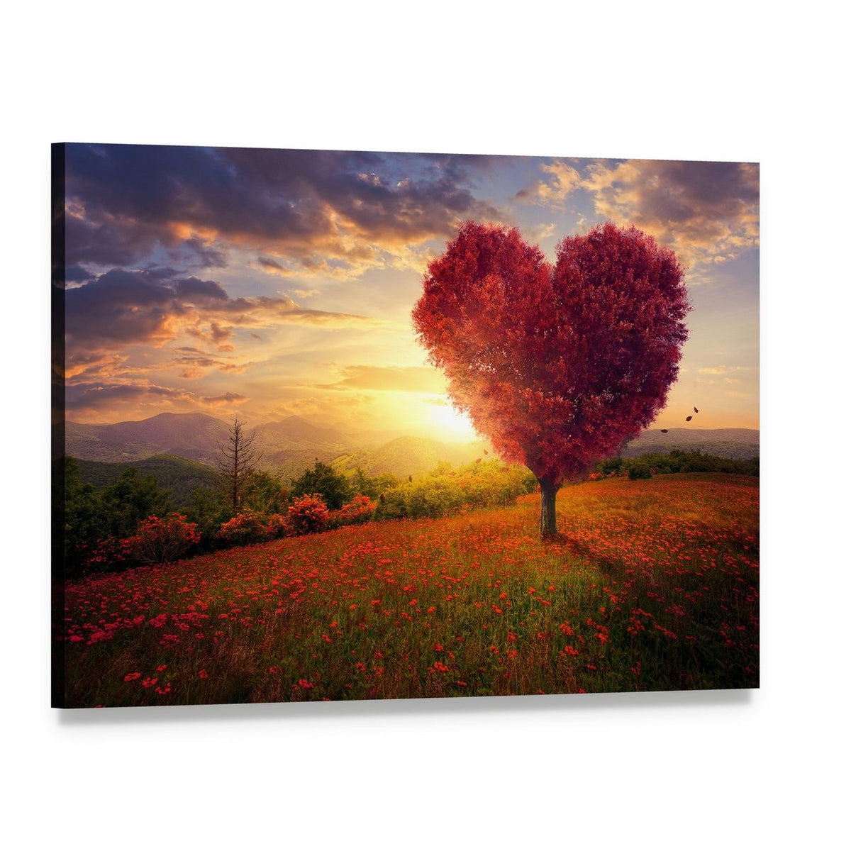 Red Heart Shaped Tree at Sunset Canvas Wall Art, single panel gallery wrapped canvas, angled product view