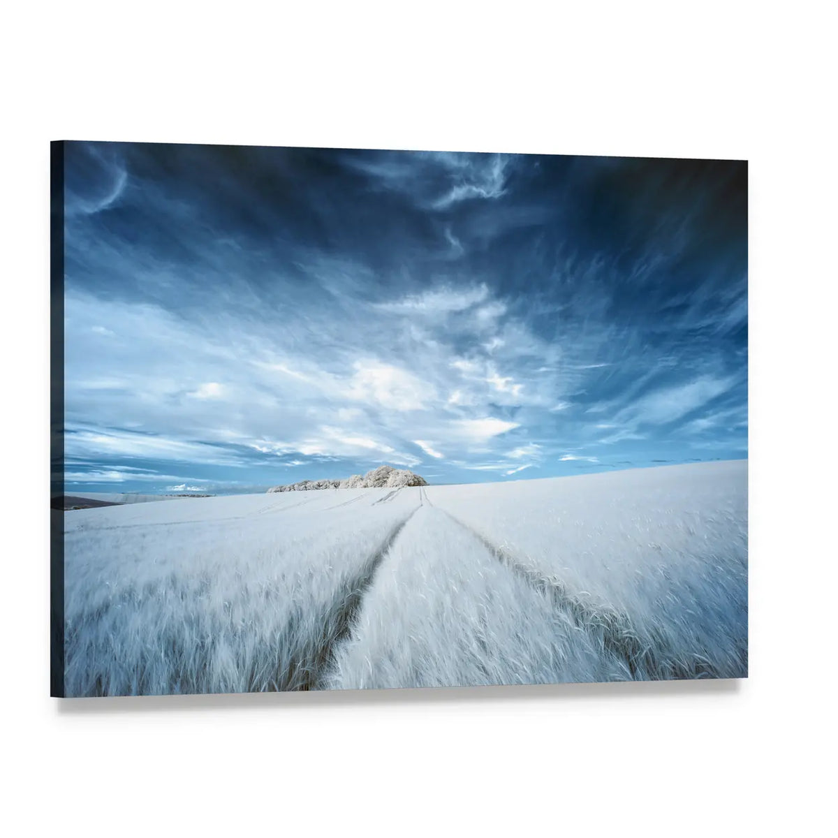 White Field with Parallel Tire Tracks Canvas Wall Art, single panel gallery wrapped canvas, angled product view
