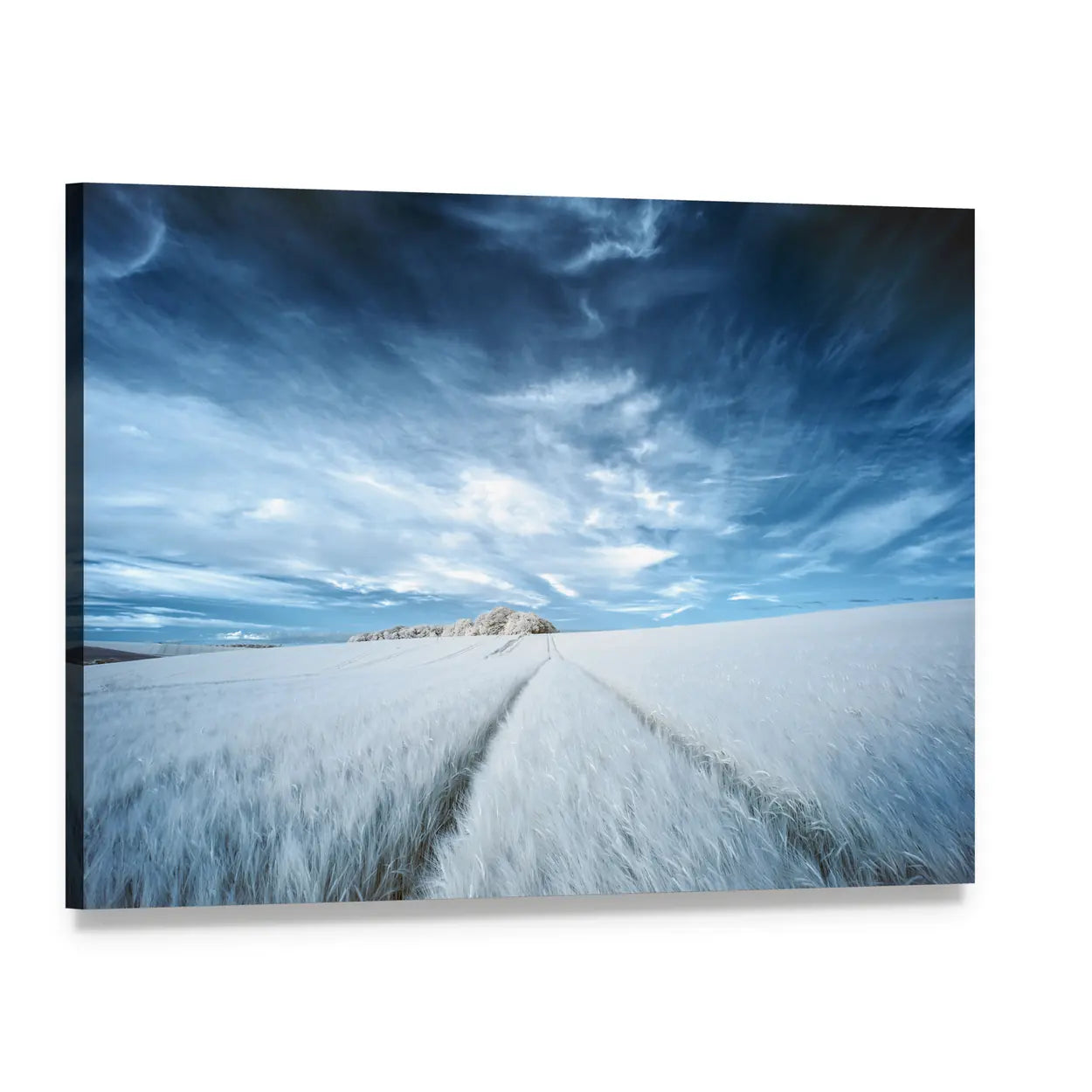 White Field with Parallel Tire Tracks Canvas Wall Art, single panel gallery wrapped canvas, angled product view