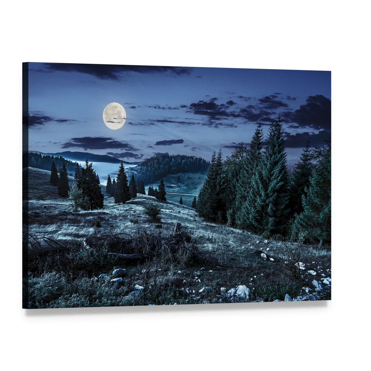 Moonlit Coniferous Forest Canvas Wall Art, single panel gallery wrapped canvas, angled product view
