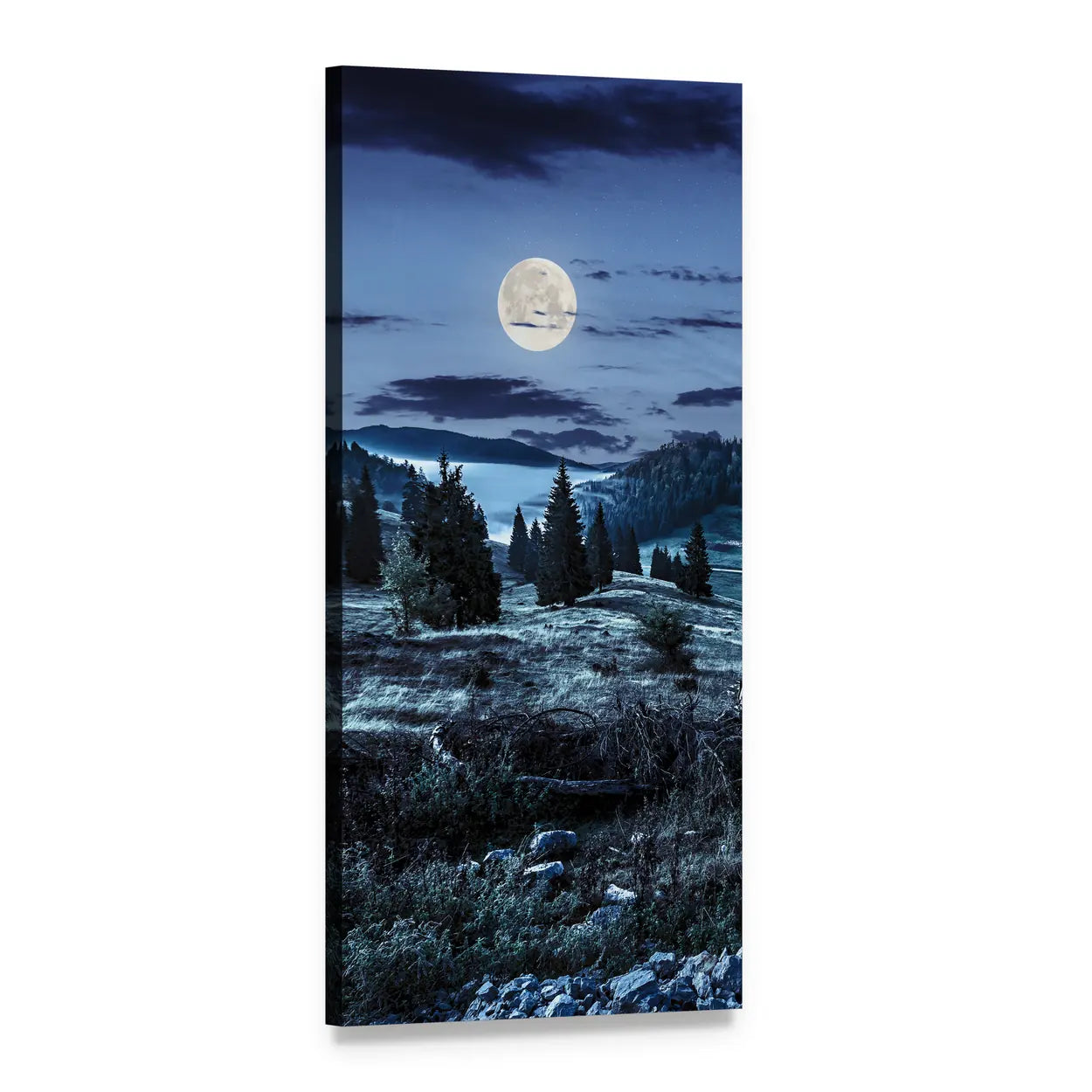 Moonlit Conifer Forest Over Foggy Valley Vertical Canvas Wall Art, 1 panel 1 Vertical layout gallery wrapped canvas set, angled product view