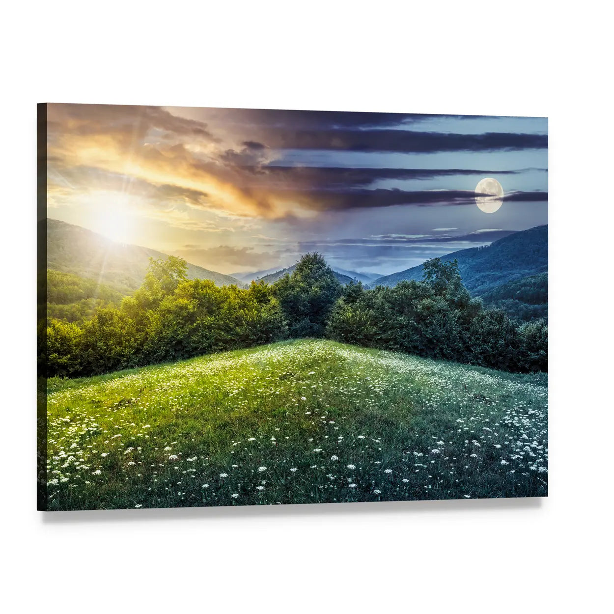 Sunlit Hillside Meadows Canvas Wall Art, single panel gallery wrapped canvas, angled product view