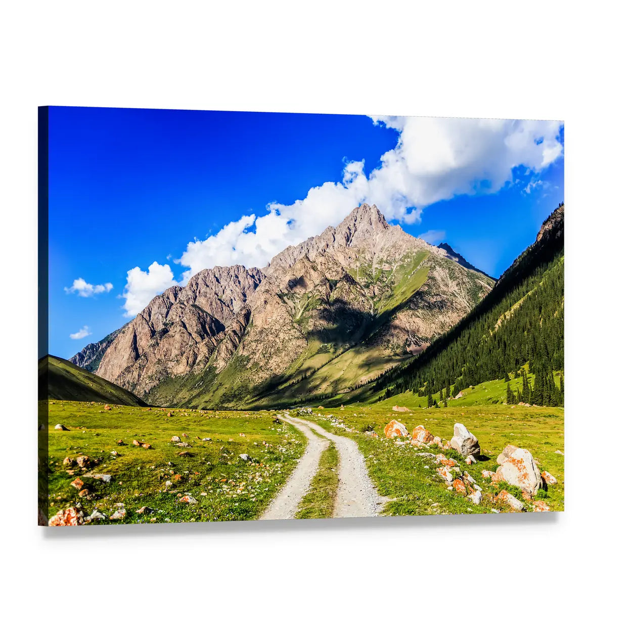 Winding Mountain Road Through Grassy Valley Canvas Wall Art, single panel gallery wrapped canvas, angled product view