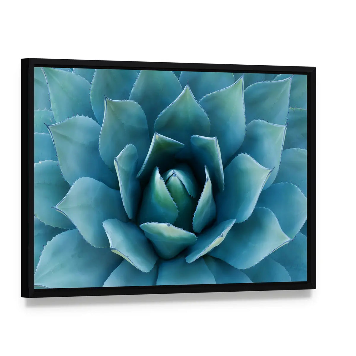 Closeup Of An Agave Plant Canvas Wall Art, framed canvas in a black floater frame, angled product view