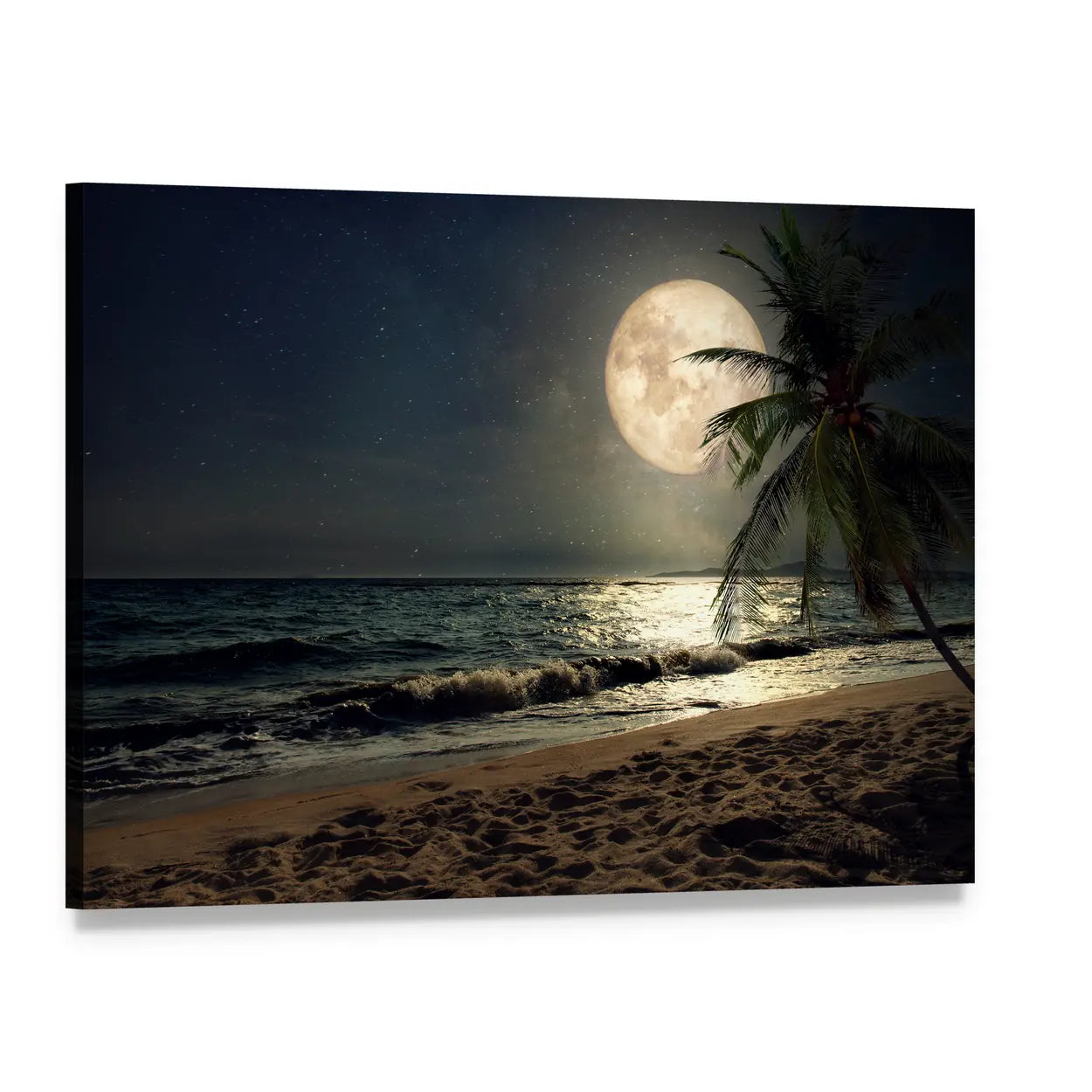 Moonlit Tropical Beach with Palm Silhouette Canvas Wall Art, single panel gallery wrapped canvas, angled product view