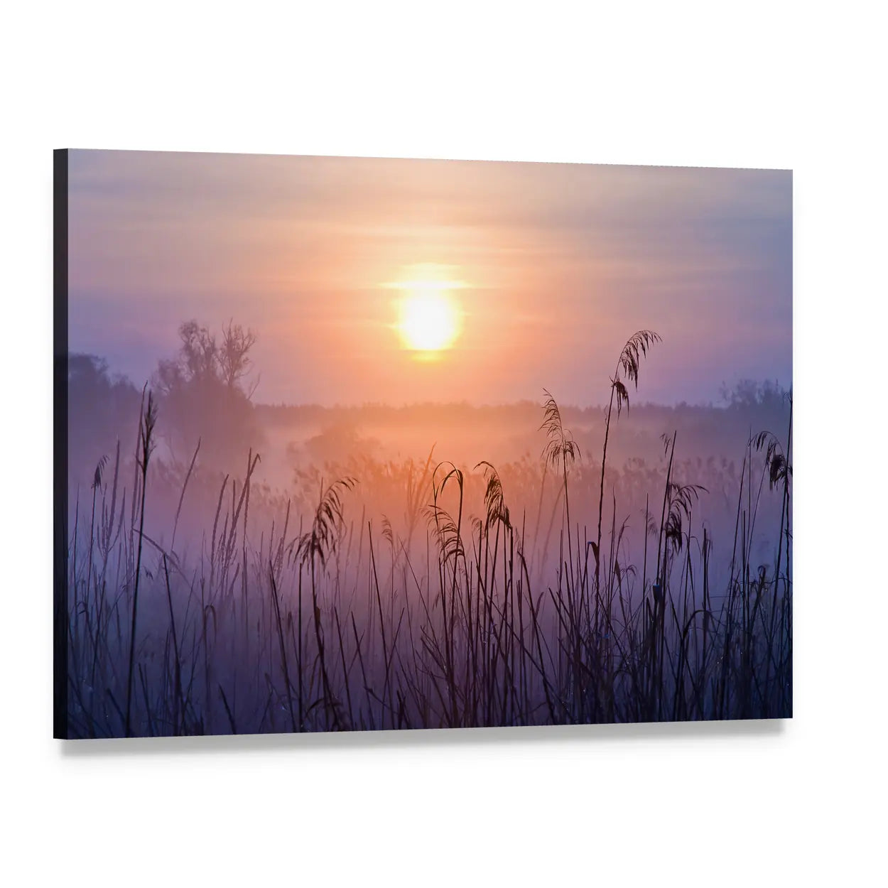 Shallow Depth Of Field At Sunset Canvas Wall Art, single panel gallery wrapped canvas, angled product view