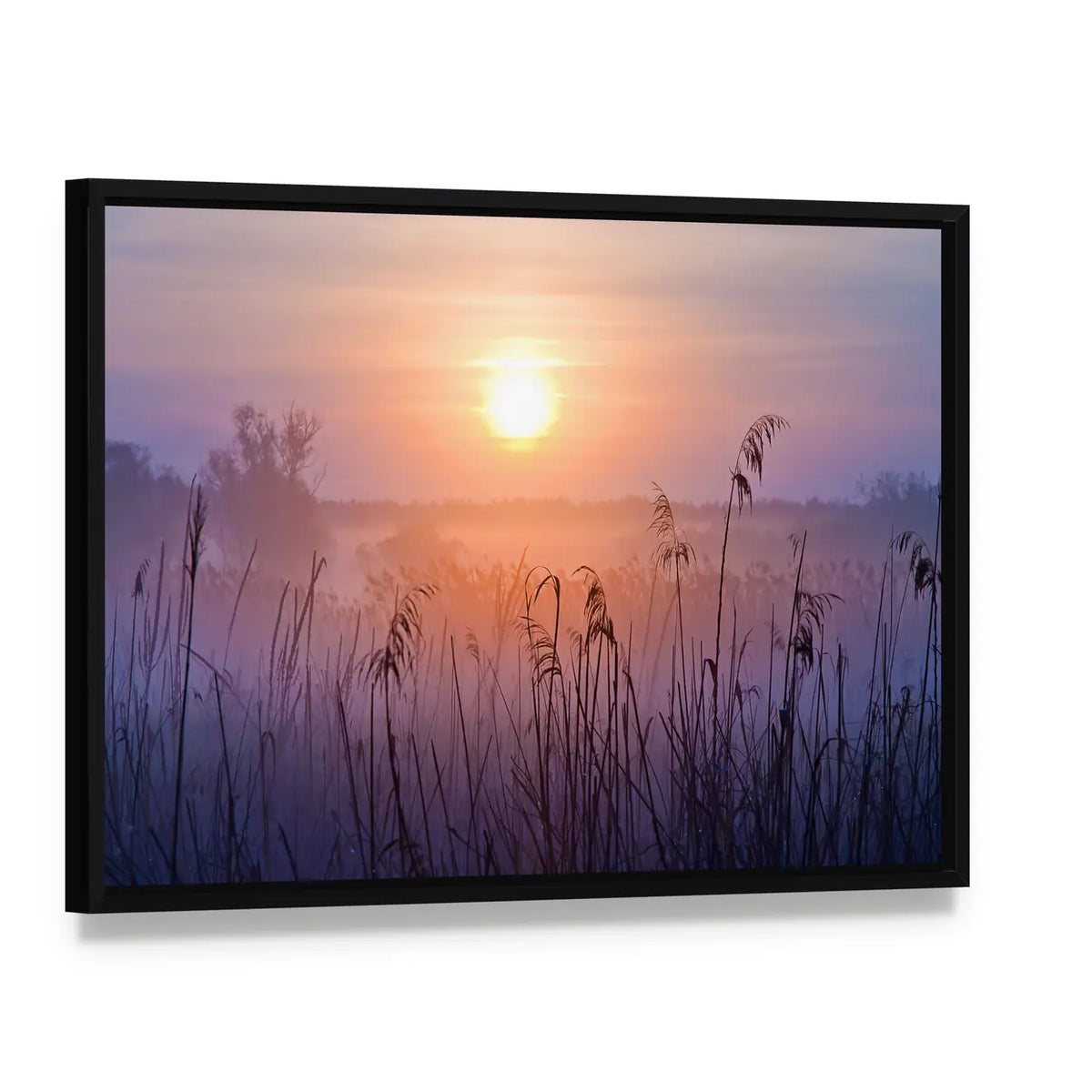Shallow Depth Of Field At Sunset Canvas Wall Art, framed canvas in a black floater frame, angled product view