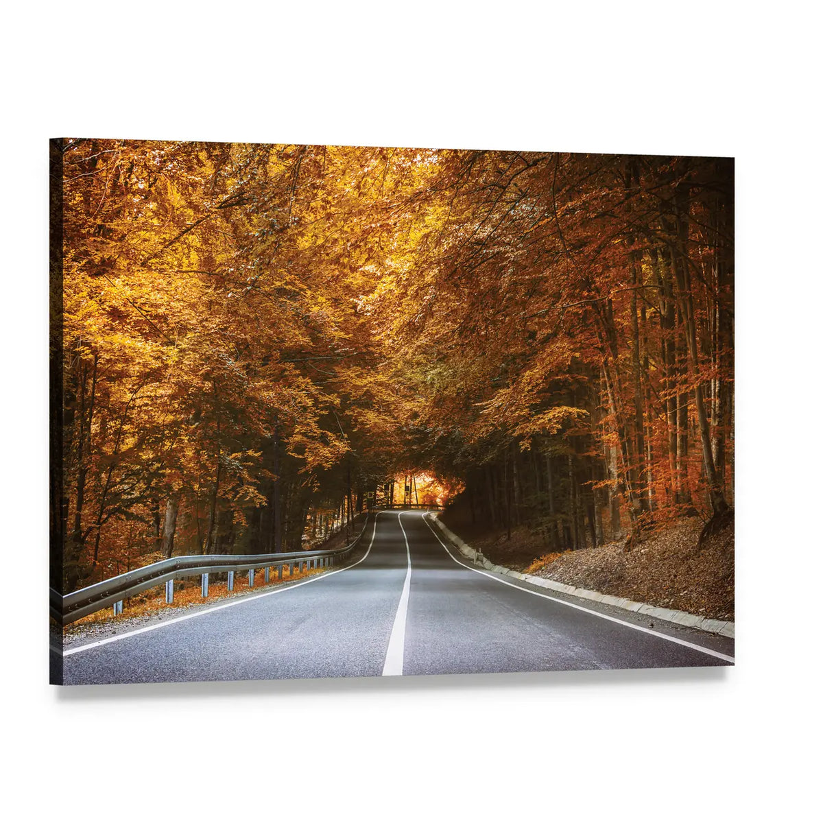 Forest Road in Autumn Canvas Wall Art, single panel gallery wrapped canvas, angled product view