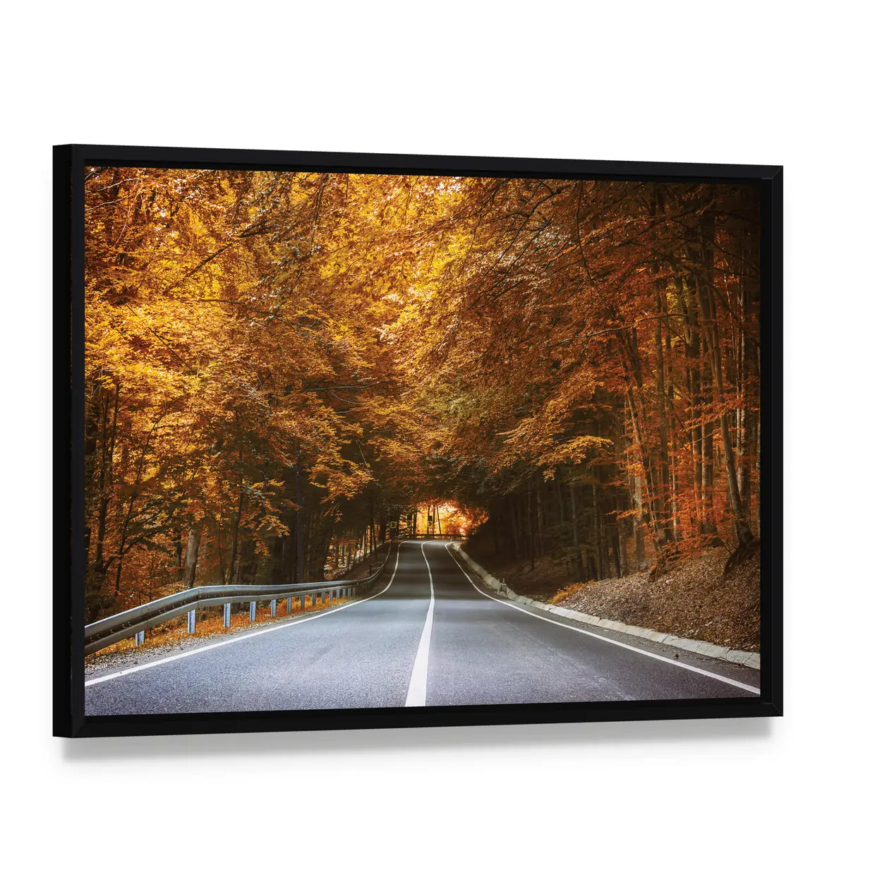 Forest Road in Autumn Canvas Wall Art, framed canvas in a black floater frame, angled product view