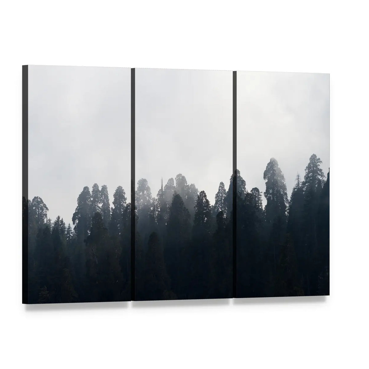 Silhouetted Redwood Forest in Mist Canvas Wall Art, 3 panel 3 Horizontal layout gallery wrapped canvas set, angled product view