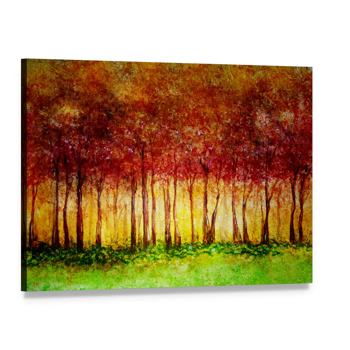Forest In Fall Canvas Wall Art, single panel gallery wrapped canvas, angled product view