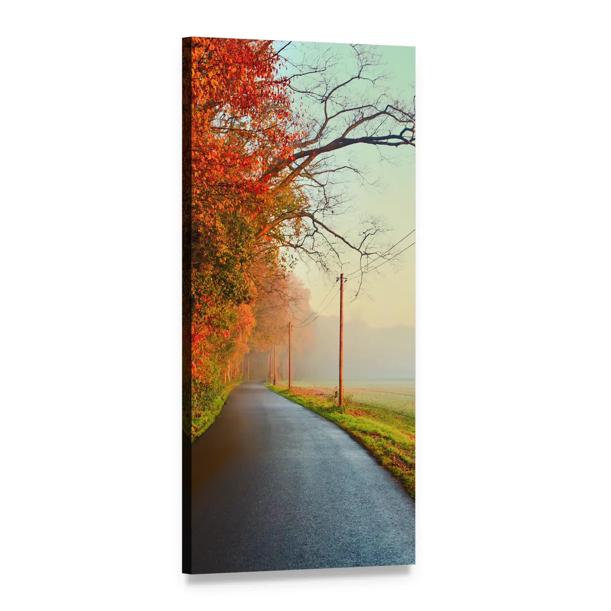 Foggy Road in Autumn Vertical Canvas Wall Art, 1 panel 1 Vertical layout gallery wrapped canvas set, angled product view