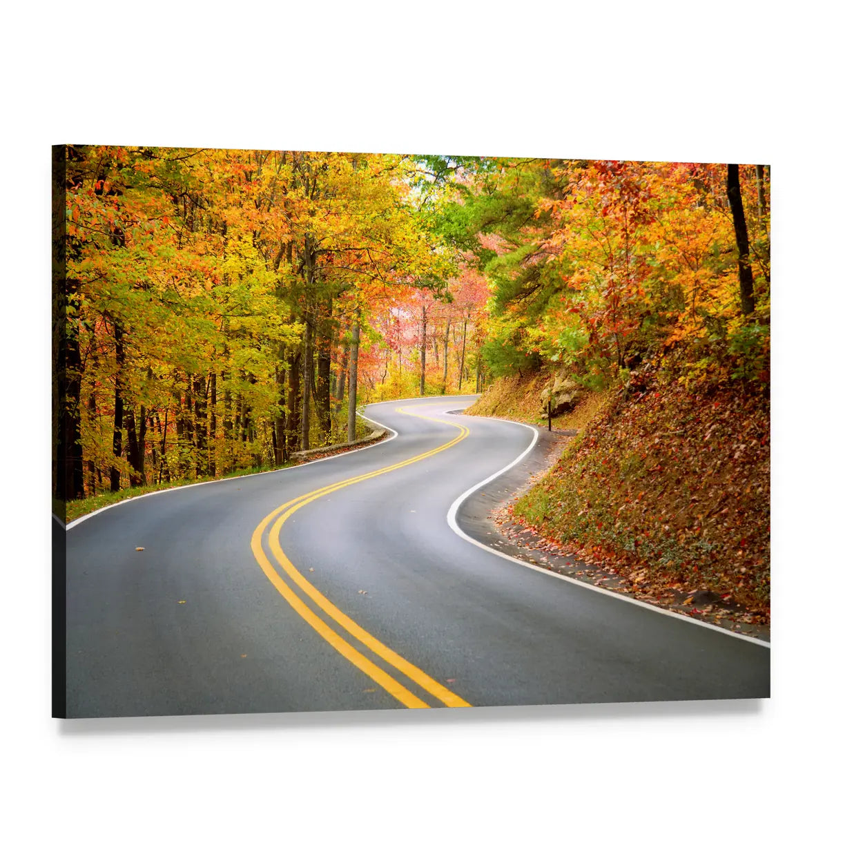 Winding Road Through Fall Forest In Appalachian Mountains Canvas Wall Art, single panel gallery wrapped canvas, angled product view