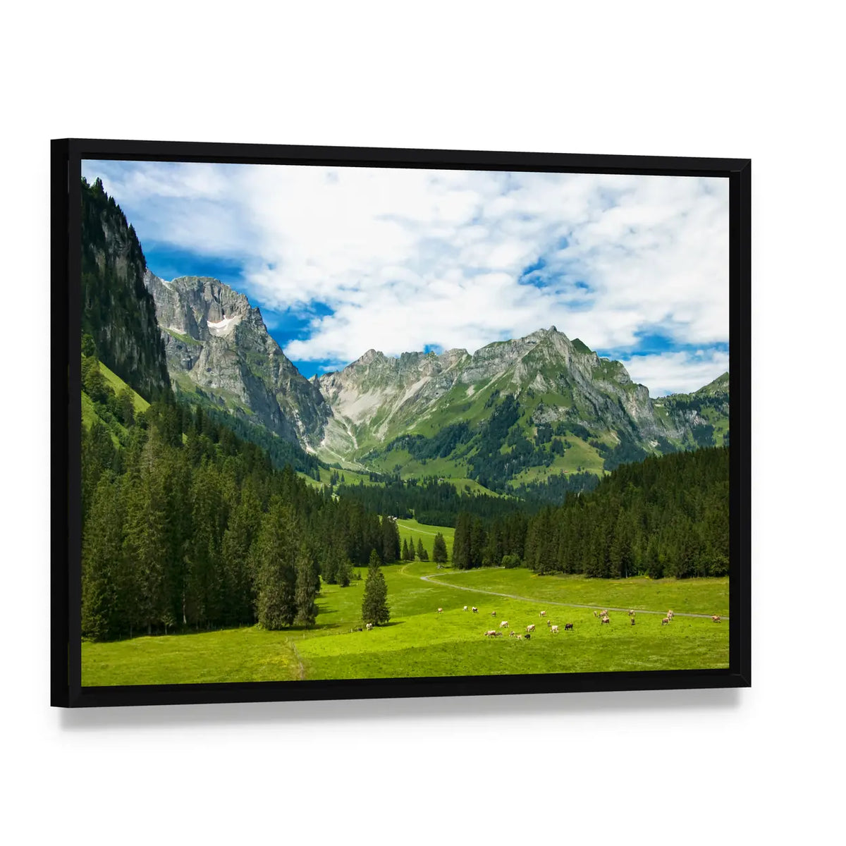 Arnibach Valley Near Engelberg Canvas Wall Art, framed canvas in a black floater frame, angled product view