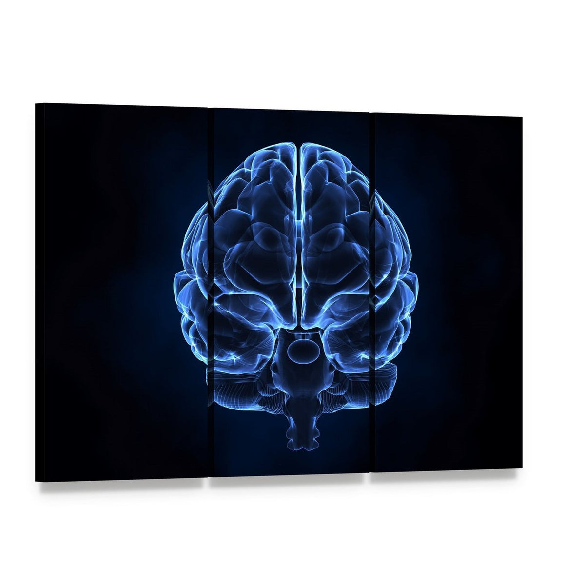 X-ray Human Brain Illustration Canvas Wall Art, 3 panel 3 Horizontal layout gallery wrapped canvas set, angled product view