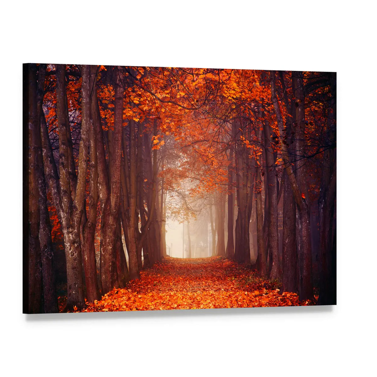 Autumn Misty Forest Canvas Wall Art, single panel gallery wrapped canvas, angled product view