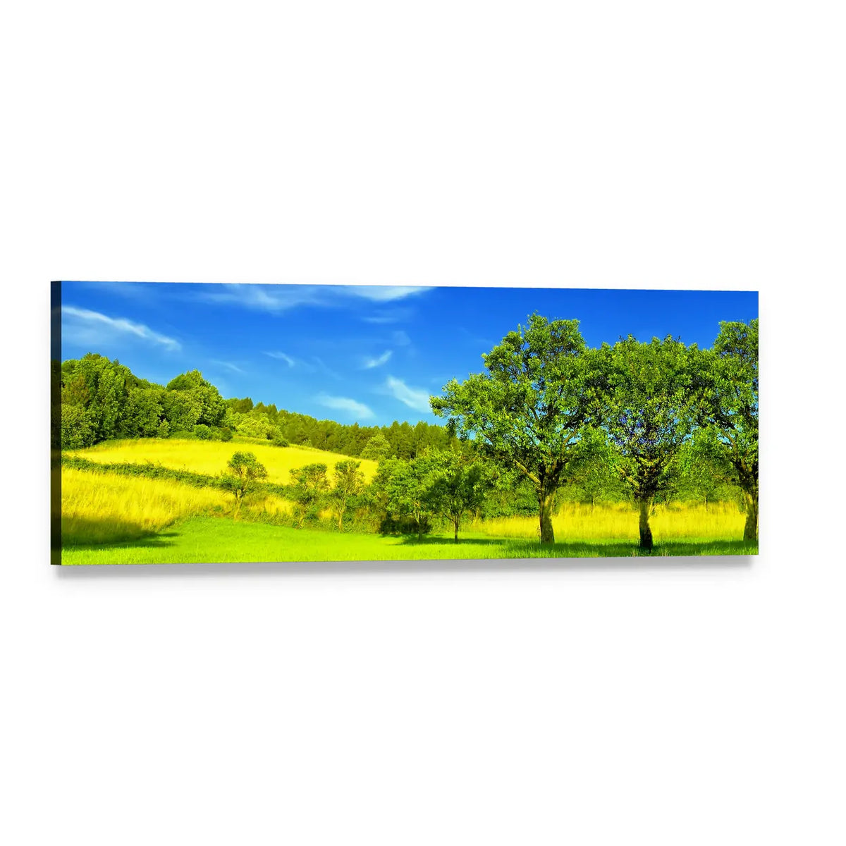 Sunlit Meadow and Rolling Hills Panoramic Canvas Wall Art, single panel gallery wrapped canvas, angled product view