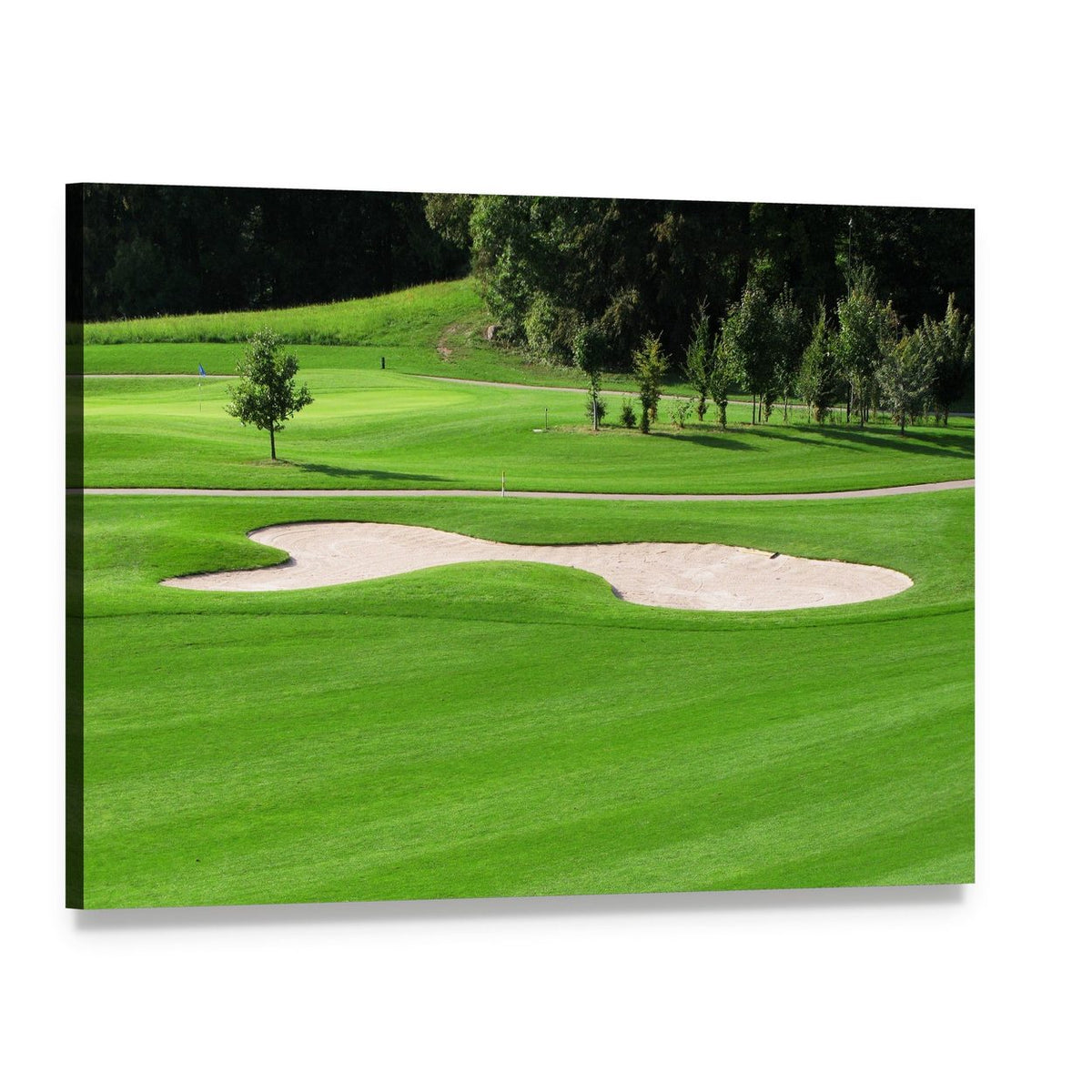 Golf Course Trees Canvas Wall Art, single panel gallery wrapped canvas, angled product view
