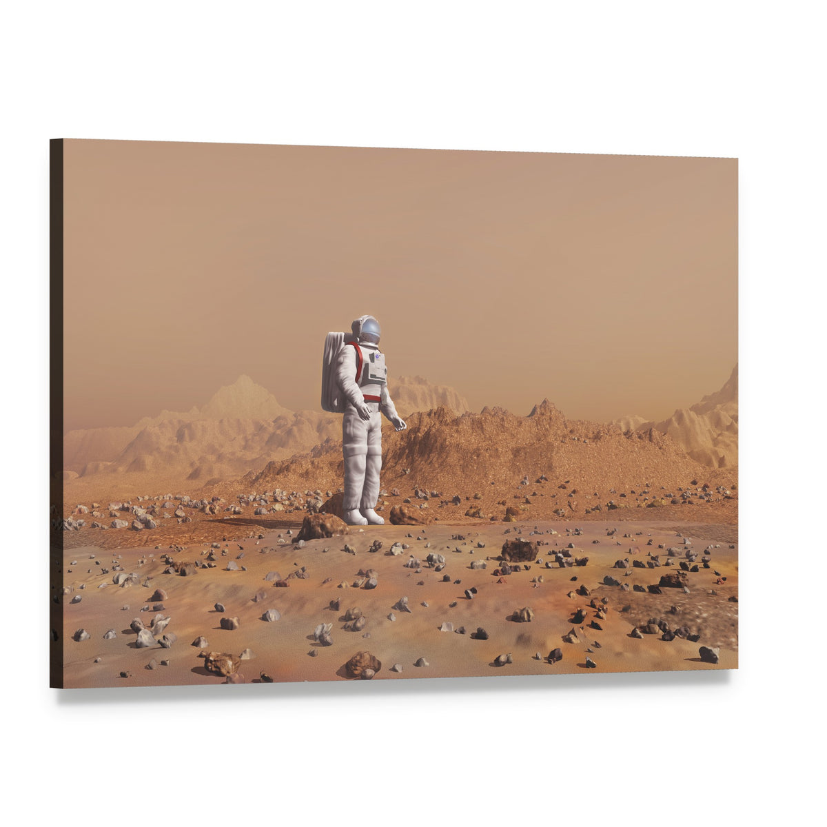Astronaut Walking on Mars Canvas Wall Art, single panel gallery wrapped canvas, angled product view