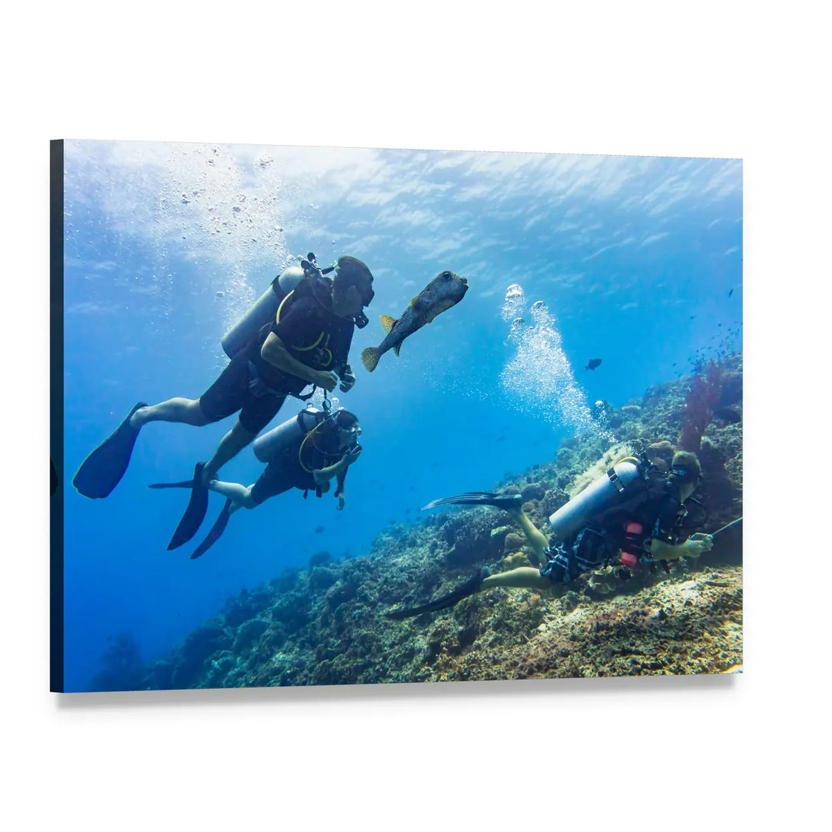 Scuba Divers at Coral Reef Canvas Wall Art, single panel gallery wrapped canvas, angled product view