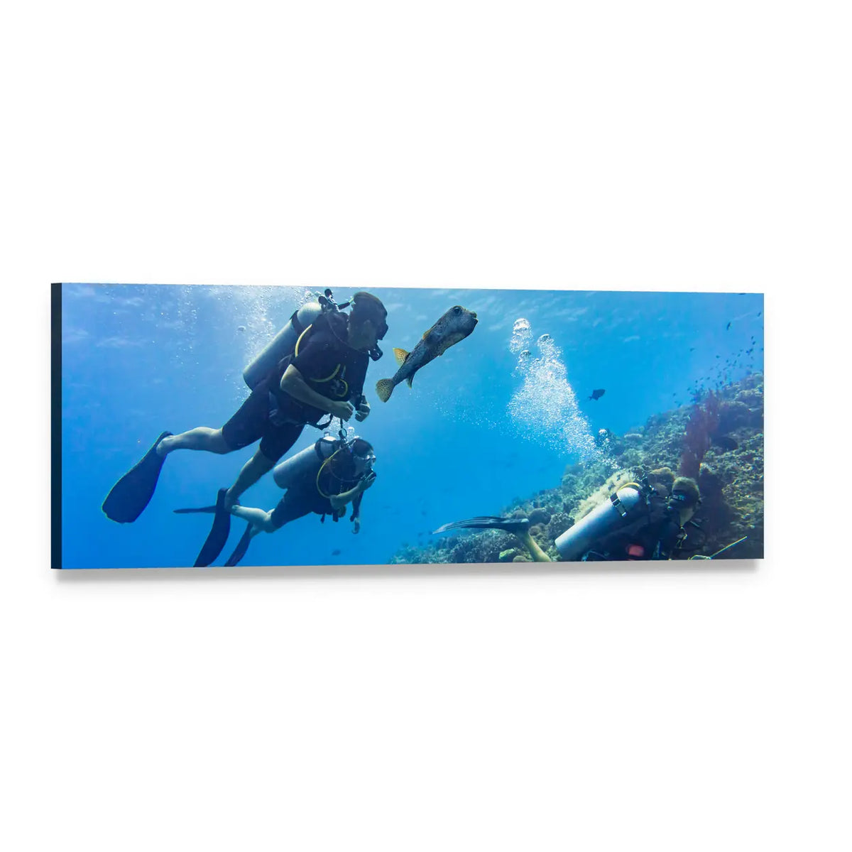 Scuba Divers at Coral Reef Panoramic Canvas Wall Art, single panel gallery wrapped canvas, angled product view