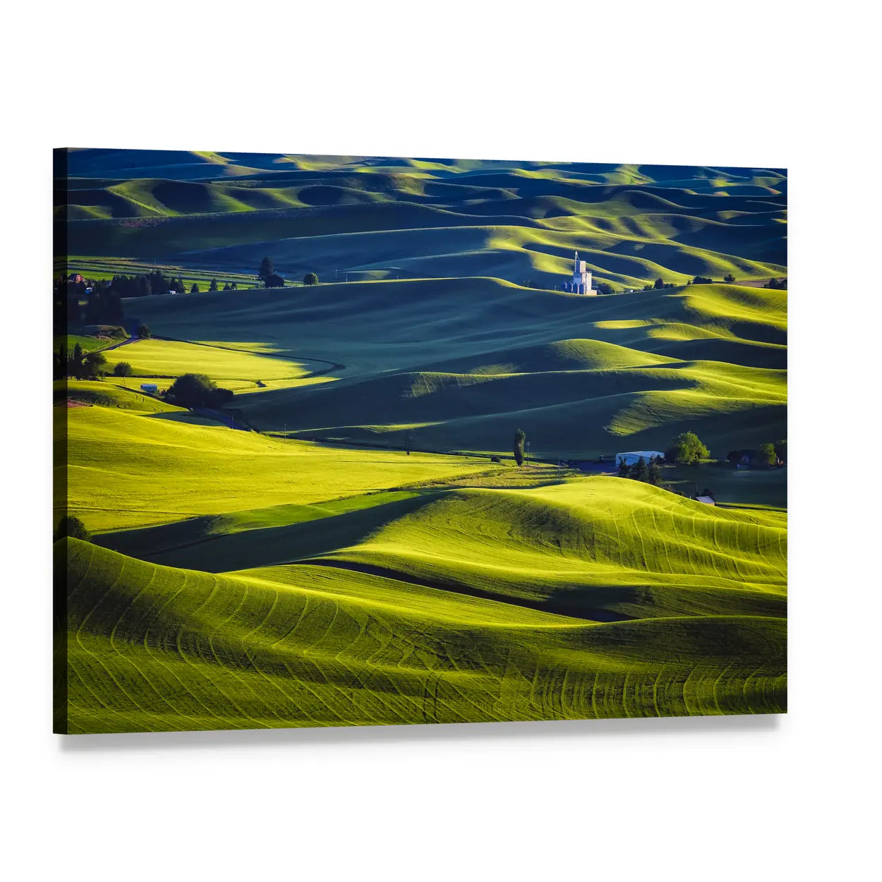 Palouse Rolling Hills at Sunset Canvas Wall Art, single panel gallery wrapped canvas, angled product view