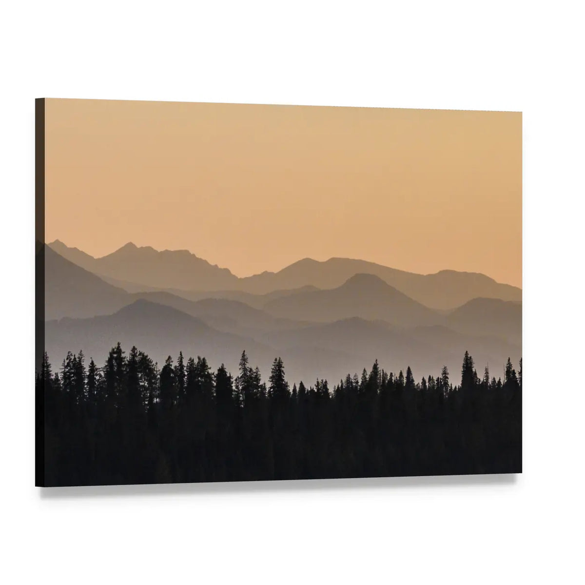 Early Morning Mist On Forest Mountain Canvas Wall Art, single panel gallery wrapped canvas, angled product view