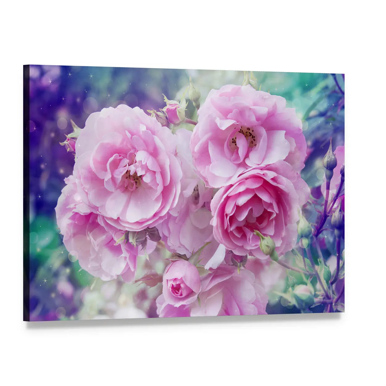 Romantic Pink Roses Close-up Canvas Wall Art, single panel gallery wrapped canvas, angled product view