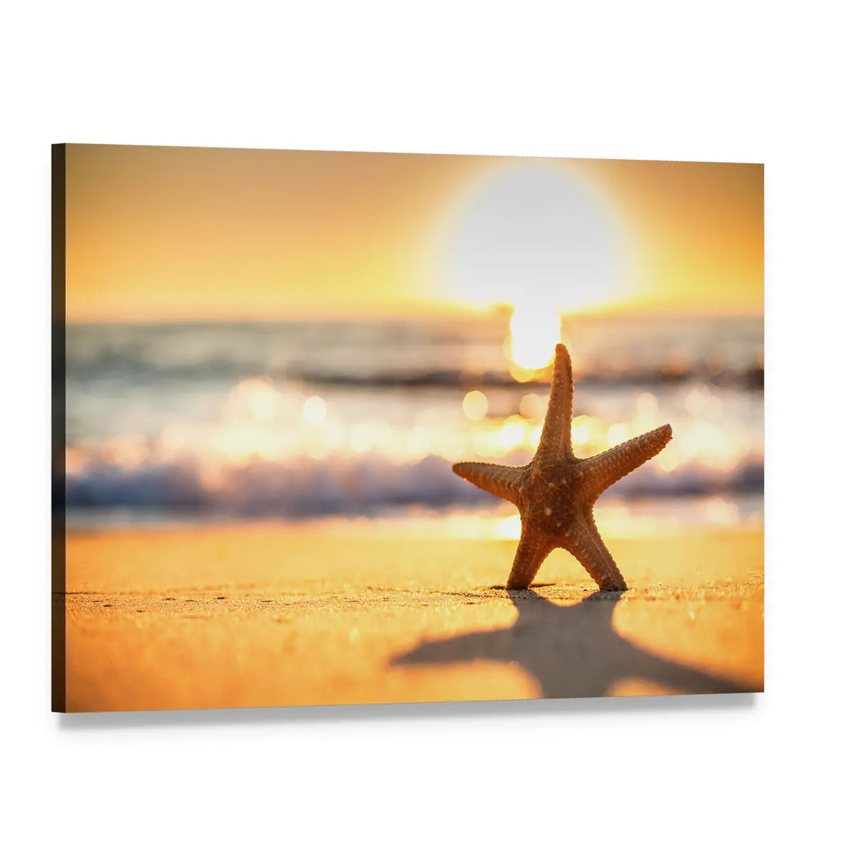 Starfish at Sunrise on Sandy Beach Canvas Wall Art, single panel gallery wrapped canvas, angled product view