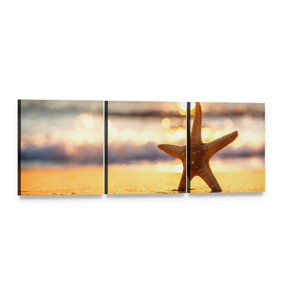 Sea Starfish on Beach at Sunrise Panoramic Canvas Wall Art, 3 panel 3 Piece layout gallery wrapped canvas set, angled product view