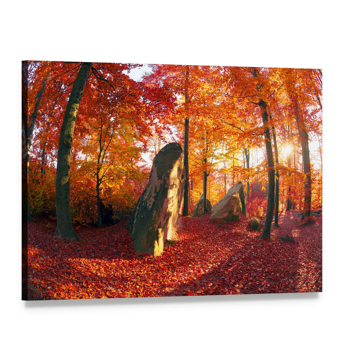 Forest of the Carpathians Canvas Wall Art, single panel gallery wrapped canvas, angled product view