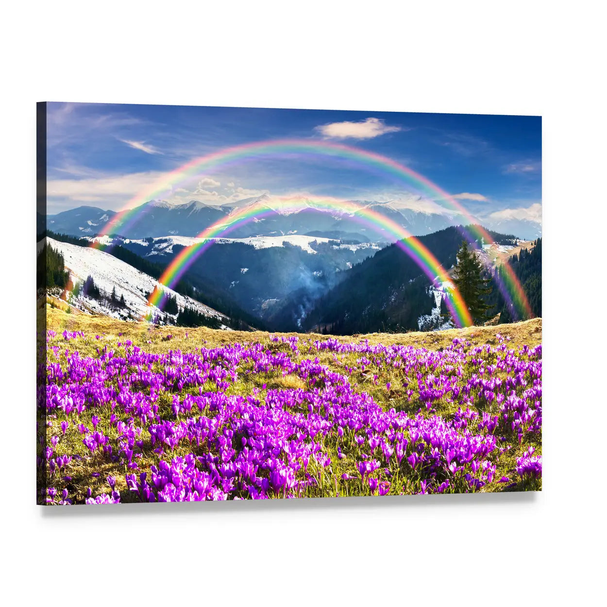 Spring in Ukraine's Wild Mountains Canvas Wall Art, single panel gallery wrapped canvas, angled product view