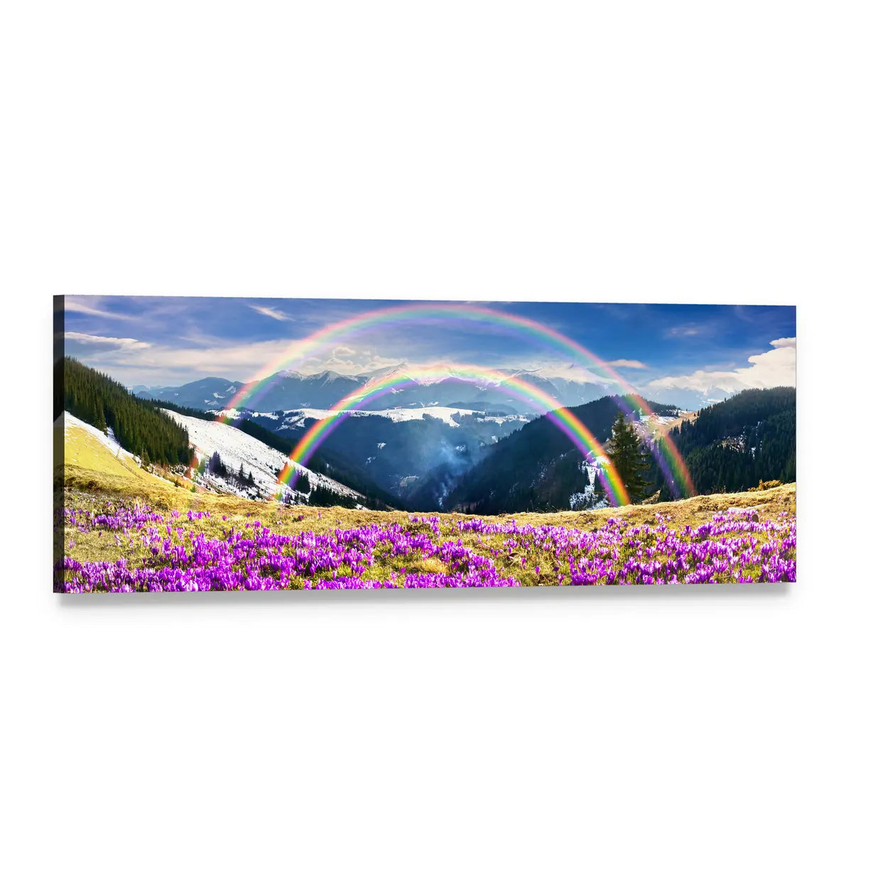 Spring Mountains with Double Rainbow and Purple Flowers Panoramic Canvas Wall Art, single panel gallery wrapped canvas, angled product view
