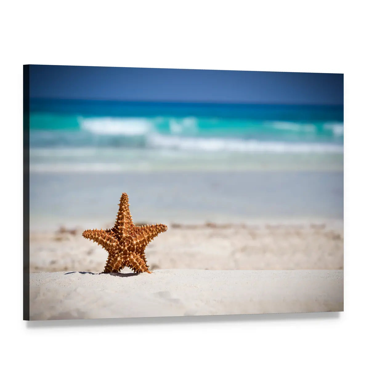 Starfish on White Sand Beach Canvas Wall Art, single panel gallery wrapped canvas, angled product view