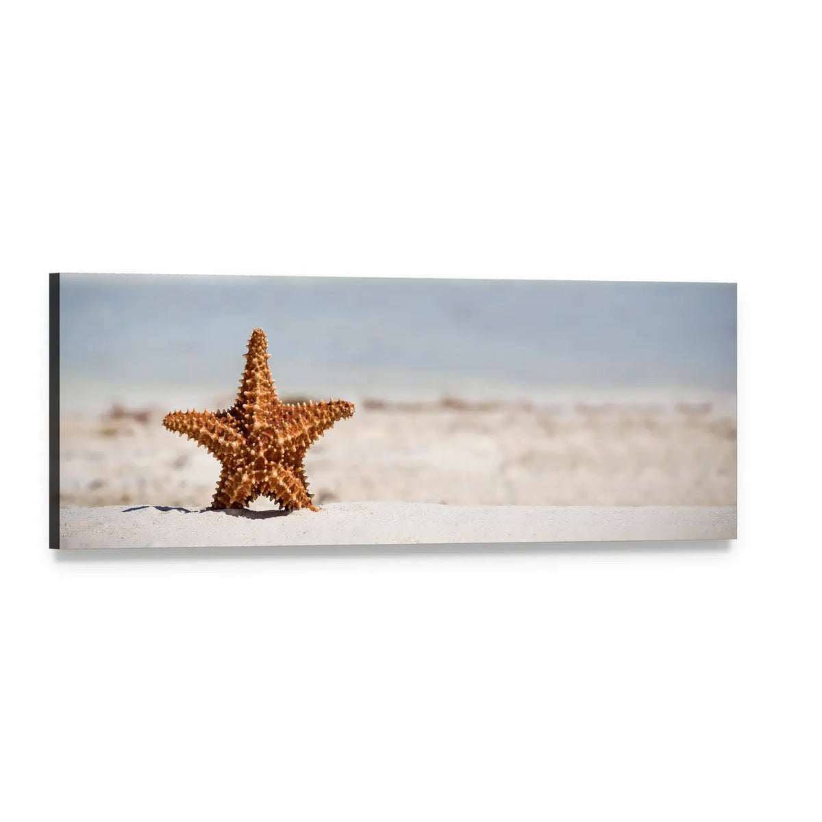 Starfish on Caribbean Sandy Beach Panoramic Canvas Wall Art, single panel gallery wrapped canvas, angled product view