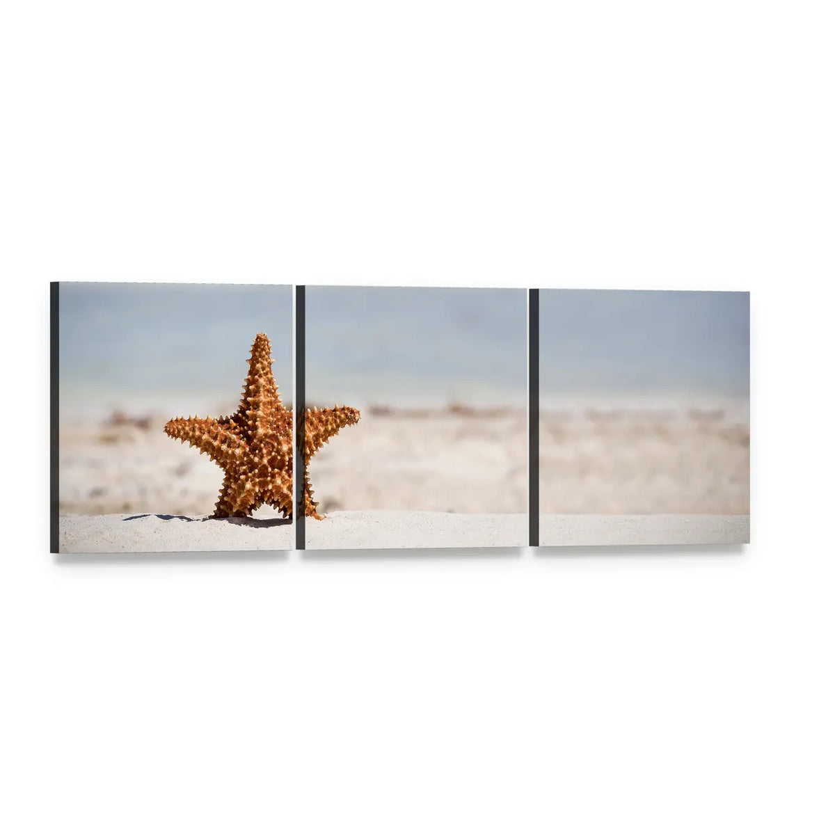 Starfish on Caribbean Sandy Beach Panoramic Canvas Wall Art, 3 panel 3 Piece layout gallery wrapped canvas set, angled product view