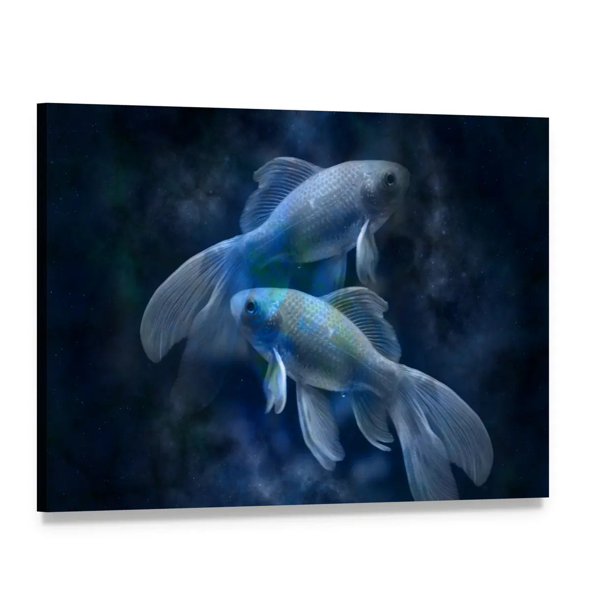 Pisces Zodiac Two Iridescent Fish Canvas Wall Art, single panel gallery wrapped canvas, angled product view