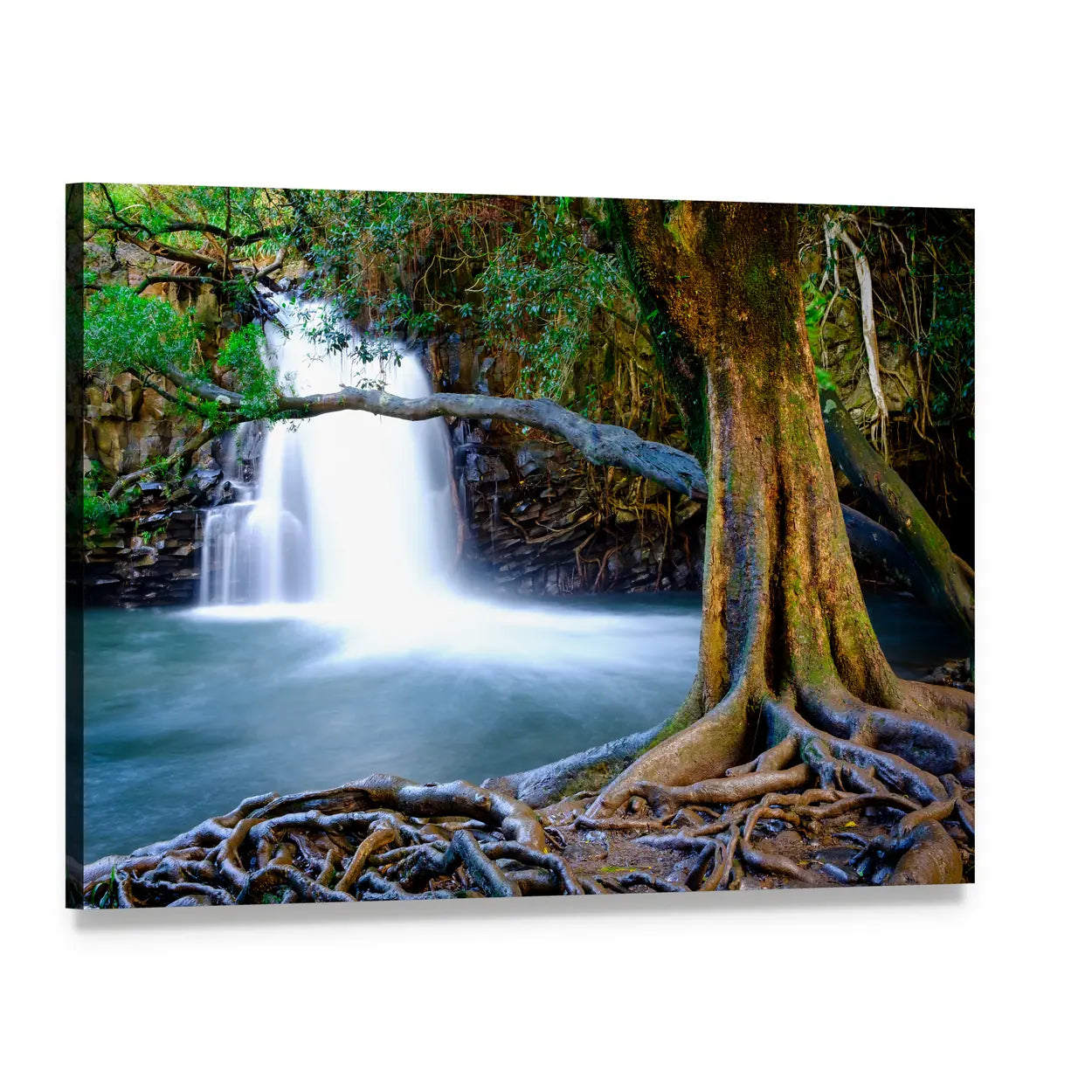 Waterfall with Exposed Tree Roots Canvas Wall Art, single panel gallery wrapped canvas, angled product view